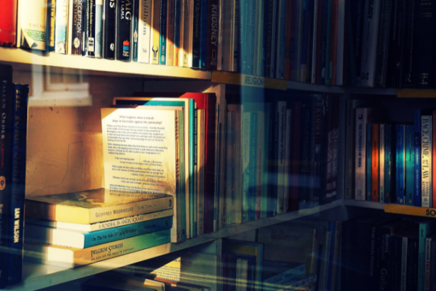 Hebron Costa Cruz de Oliveira destaca como a arte desperta empatia, sensibilidade e pensamento crítico na formação pessoal.