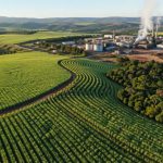 Guilherme Silva Ribeiro Campos