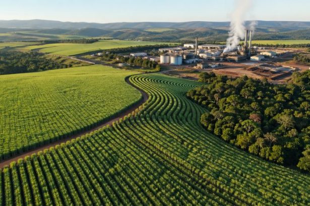 Guilherme Silva Ribeiro Campos