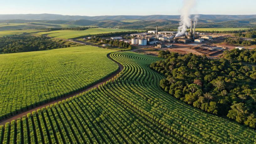 Guilherme Silva Ribeiro Campos