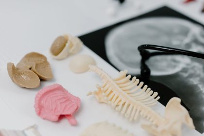 Modelos anatômicos de pulmões e uma imagem de raios X dispostos em uma bancada de estudo médico.
